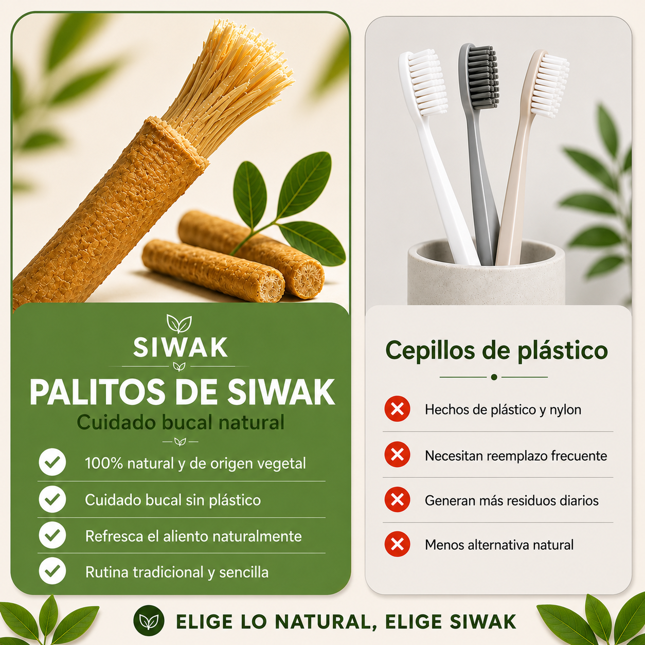 Siwak Stick