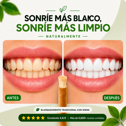 Siwak Stick